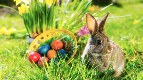 Egg hunts and bunnies are just two symbols of the joy of Spring.